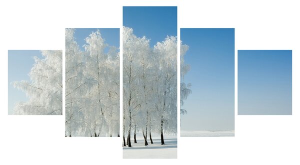 Obraz zasněžené krajiny (125x70 cm)
