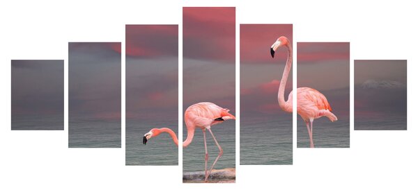 Obraz plameňáků (210x100 cm)