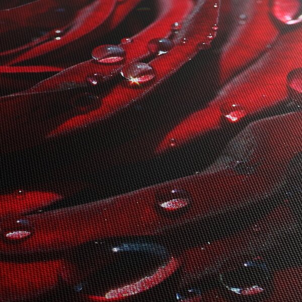 Obraz - Detail růže (125x70 cm)