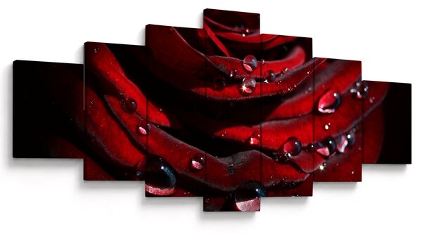 Obraz - Detail růže (210x100 cm)