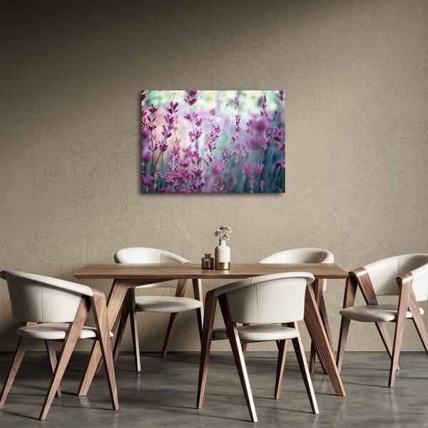 Obraz - Levandule (70x50 cm)
