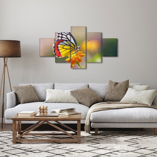 Obraz motýla na květu (125x70 cm)