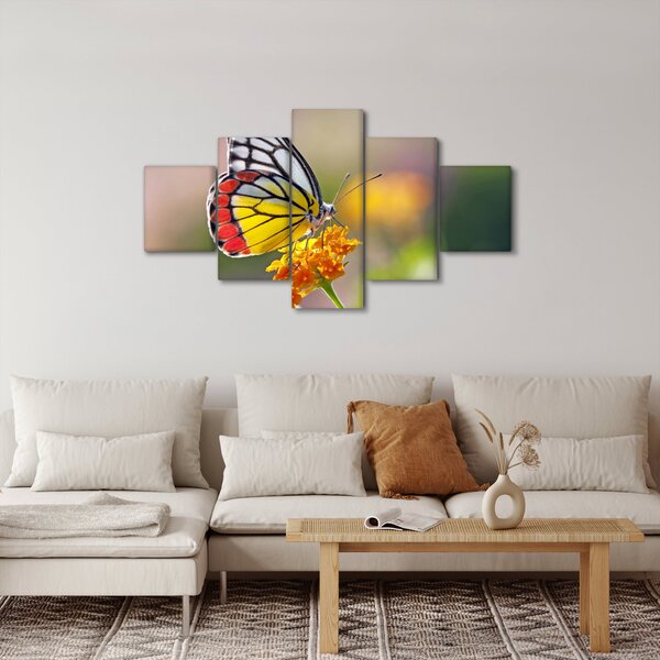 Obraz motýla na květu (125x70 cm)