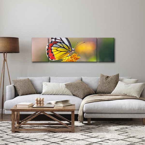 Obraz motýla na květu (170x50 cm)