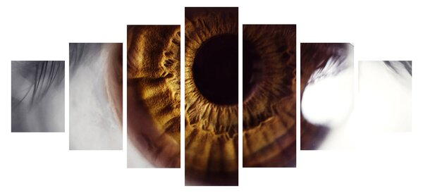 Obraz - Oko (210x100 cm)