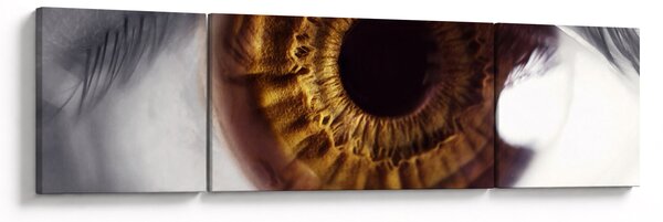 Obraz - Oko (170x50 cm)