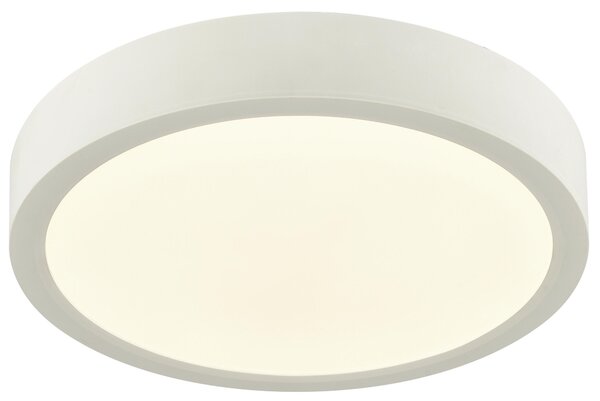 STROPNÍ LED SVÍTIDLO, 22,5/3,6 cm Boxxx - Stropní svítidla