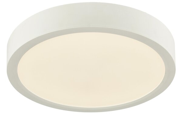 STROPNÍ LED SVÍTIDLO, 22,5/3,6 cm Boxxx - Stropní svítidla