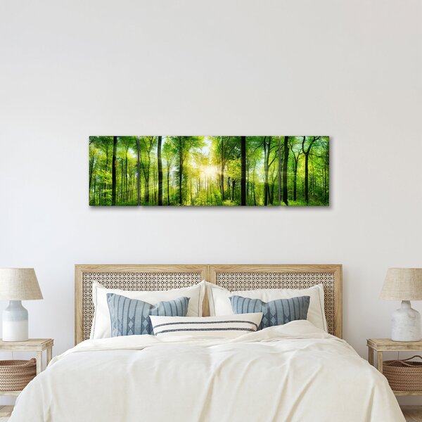 Obraz - Svítání v lese (170x50 cm)