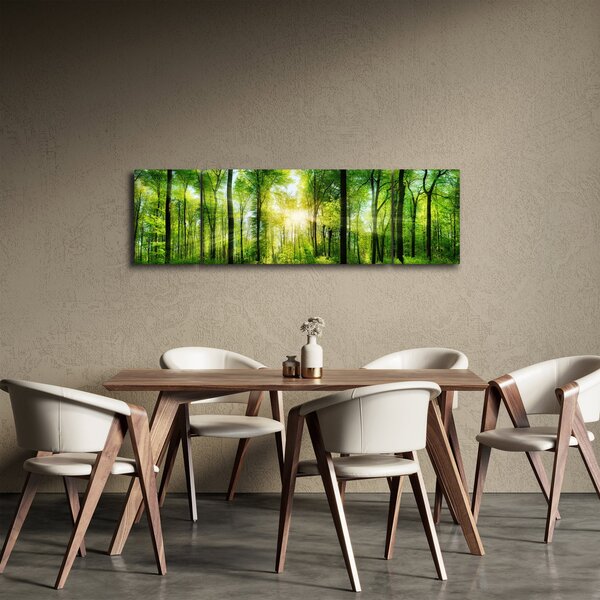 Obraz - Svítání v lese (170x50 cm)
