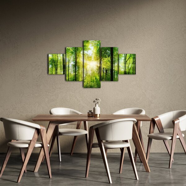 Obraz - Svítání v lese (125x70 cm)