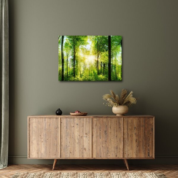 Obraz - Svítání v lese (70x50 cm)