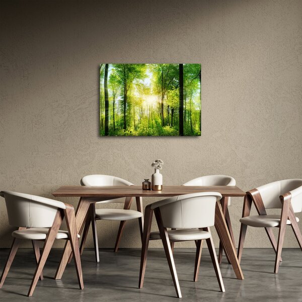 Obraz - Svítání v lese (70x50 cm)