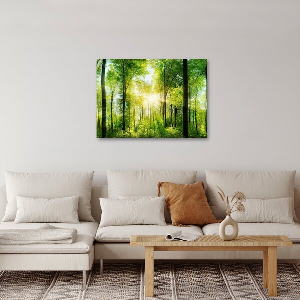 Obraz - Svítání v lese (70x50 cm)