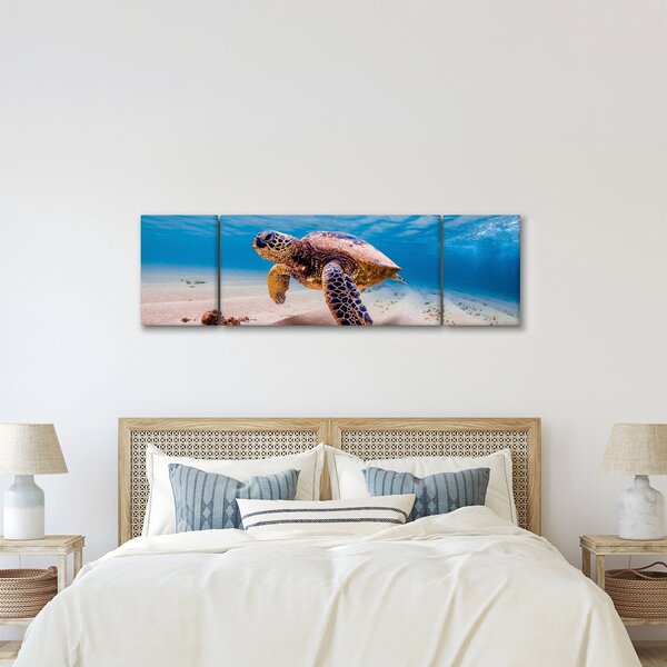 Obraz želvy v oceánu (170x50 cm)