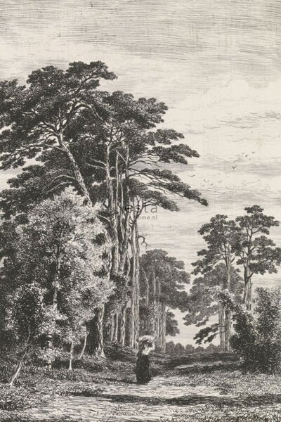 Vliesová obrazová tapeta na zeď, Rytina borovicového lesa 158886, 186 x 279 cm, Blush, Esta Home