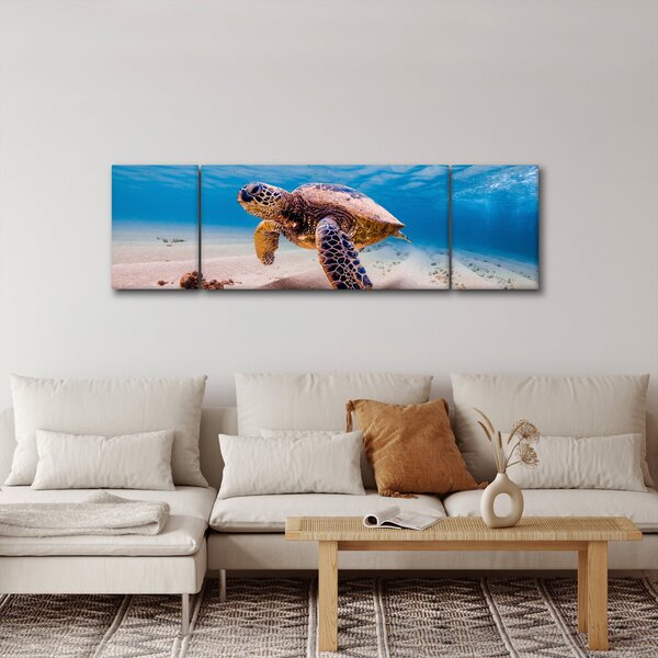 Obraz želvy v oceánu (170x50 cm)