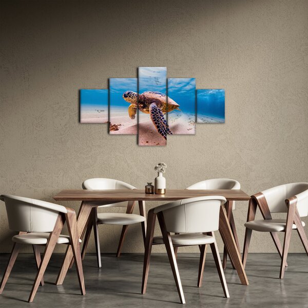 Obraz želvy v oceánu (125x70 cm)