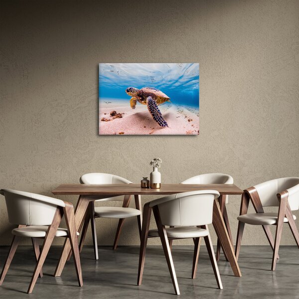 Obraz želvy v oceánu (70x50 cm)