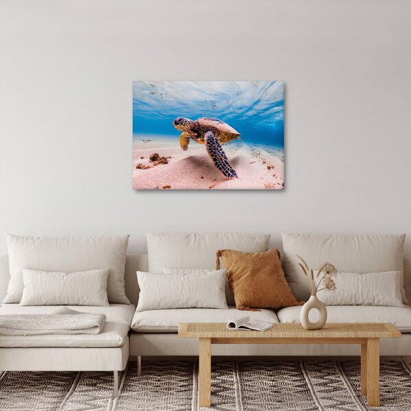 Obraz želvy v oceánu (70x50 cm)