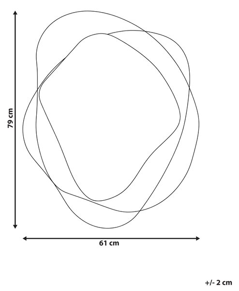 Zrcadlo CHARLIEU 61 cm 79 cm Sklo Hnědá