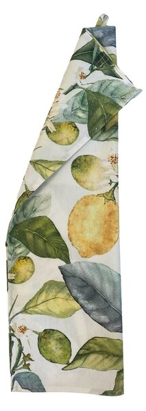 Klippan Kuchyňská utěrka Citrus multi 46x70