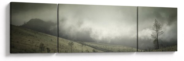 Obraz krajiny před bouři (170x50 cm)