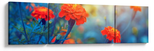 Obraz - Oranžové květy (170x50 cm)
