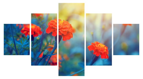 Obraz - Oranžové květy (125x70 cm)