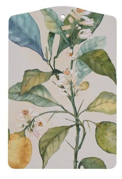 Klippan Malé prkénko na krájení Citrus 30x20