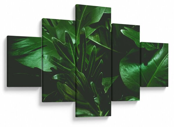 Obraz - Palmové listy (125x70 cm)