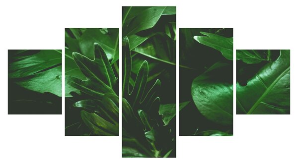 Obraz - Palmové listy (125x70 cm)