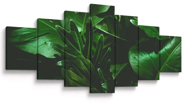 Obraz - Palmové listy (210x100 cm)