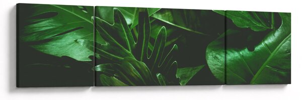 Obraz - Palmové listy (170x50 cm)