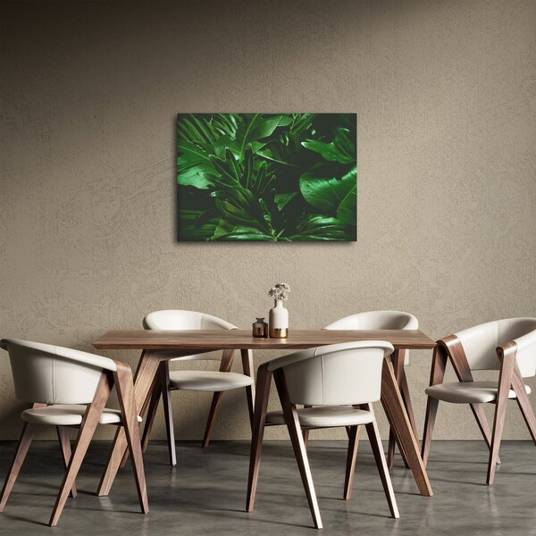 Obraz - Palmové listy (70x50 cm)