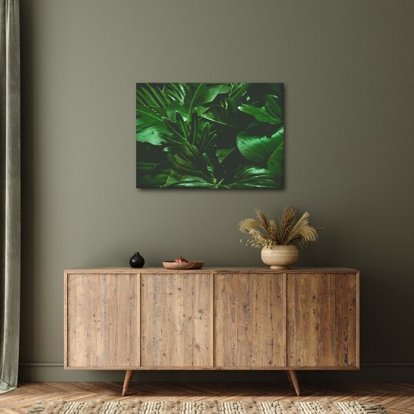 Obraz - Palmové listy (70x50 cm)