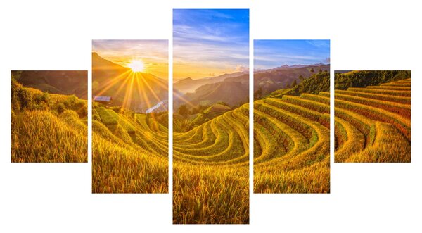 Obraz - Rýžové terasy ve Vietnamu (125x70 cm)