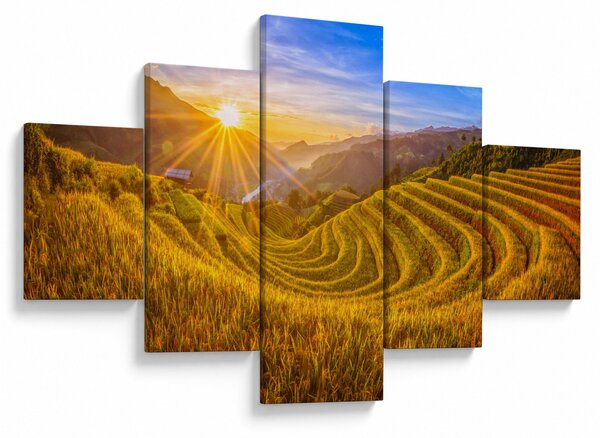 Obraz - Rýžové terasy ve Vietnamu (125x70 cm)