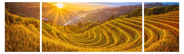 Obraz - Rýžové terasy ve Vietnamu (170x50 cm)