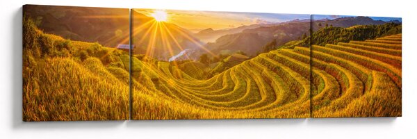 Obraz - Rýžové terasy ve Vietnamu (170x50 cm)