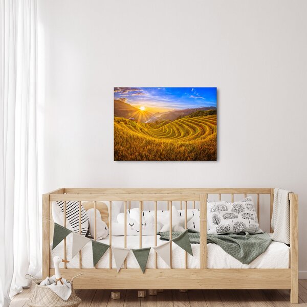 Obraz - Rýžové terasy ve Vietnamu (70x50 cm)