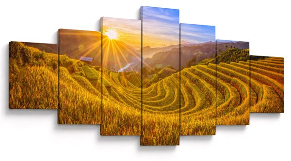 Obraz - Rýžové terasy ve Vietnamu (210x100 cm)
