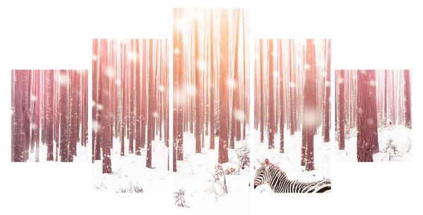 Obraz - Zebra v zasněženém lese (125x70 cm)