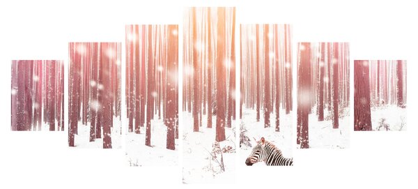 Obraz - Zebra v zasněženém lese (210x100 cm)