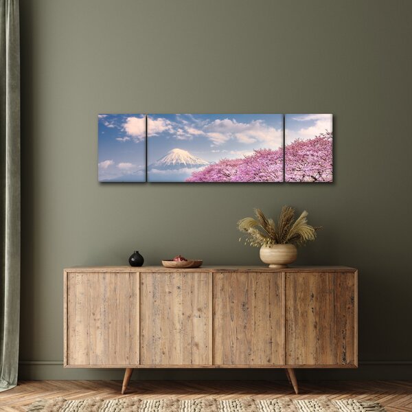Obraz - Japonská jarní krajina (170x50 cm)