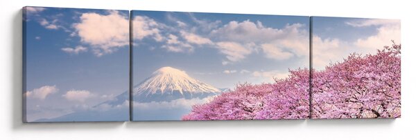 Obraz - Japonská jarní krajina (170x50 cm)
