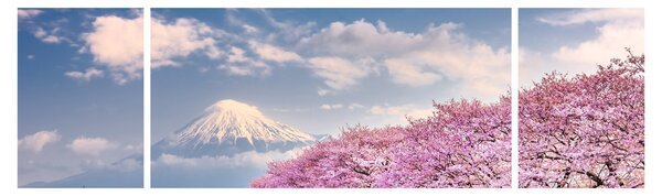 Obraz - Japonská jarní krajina (170x50 cm)