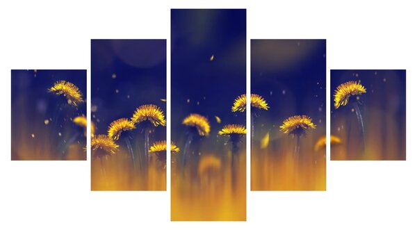 Obraz - Pampelišky (125x70 cm)