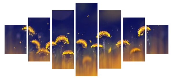 Obraz - Pampelišky (210x100 cm)