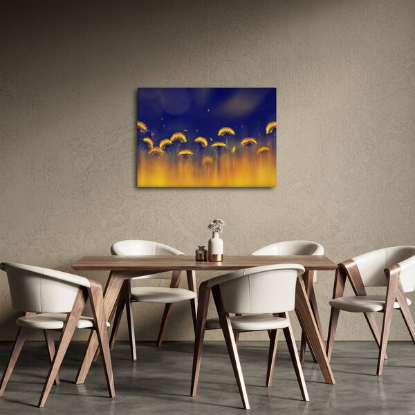 Obraz - Pampelišky (70x50 cm)
